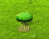 cladoxylopsida_upgrade_2.gif