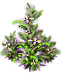 ClQwYQZ[1].png
