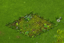 cokoladova_ruze_an[1].gif