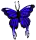 commonblueButterfly.png