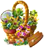 compoundapr2019basket2.png