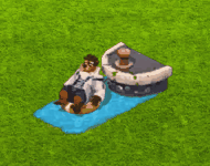 compoundjul2024fakeshark.gif