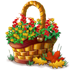 compoundnov2017basket2_small[1].png