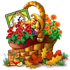 compoundnov2017basket4_small[1].png