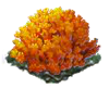 coralmushroom_Icon.png