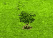 coraltree_upgrade_0.gif