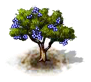 cork_upgrade_0_Icon.png