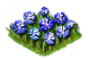 cornflower_Icon.png
