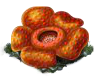 corpseflower_Icon.png