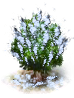 cottonwood_upgrade_0.png