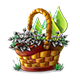 countryjun2021basket1.png