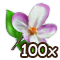 countrylayerjul2018blossom_100[1].png