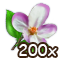 countrylayerjul2018blossom_200[1].png