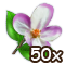countrylayerjul2018blossom_50[1].png