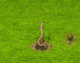 crookedforest_upgrade_0.gif