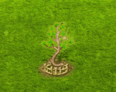crookedforest_upgrade_2.gif
