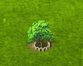 cucumbertree_upgrade_1.gif