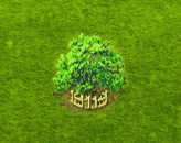 cucumbertree_upgrade_2.gif