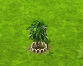 cupuacu_upgrade_1.gif