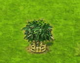 cupuacu_upgrade_2.gif