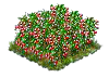 currant_Icon.png