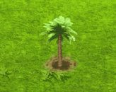 cyaneasuperba_upgrade_0.gif