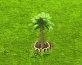 cyaneasuperba_upgrade_1.gif