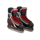 dailyqjan2026q1iceskates.png