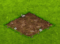 dailyqjun2026q2teapotplant.gif
