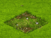 dailyqmar2022q6sorrel.gif