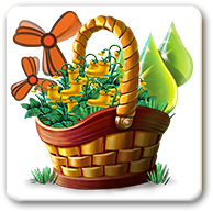 dailyqnov2024q1basket1.png