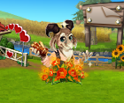 dailyquest24.png