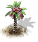 Dattelpalme.png