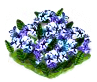dentallaria_Icon.png