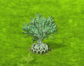 desertrose_upgrade_1.gif