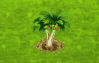 dicefarmingjul2026roystonea_upgrade_0.gif