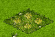 dicenov2021diceplant.gif