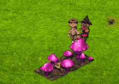 diggingapr2026plant.gif