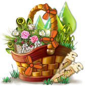 discoverymar2018basket2_big[1].png