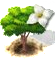 dogwoodupgrade0[1].png