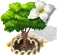 dogwoodupgrade1[1].png