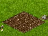 dominoaug2019patchworkplant.gif