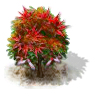 downyjapanesemaple_upgrade_0_Icon.png