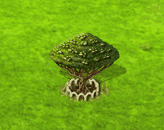 Drachenblutbaum XL.gif
