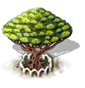 Drachenblutbaum xl.png