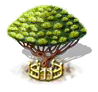 Drachenblutbaum xxl.png
