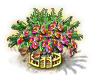 Drachenfruchtbaum xxl.png
