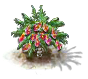 dragonfruit_Icon.png
