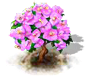 Drillingsbaum.png
