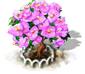 Drillingsbaum xl.png